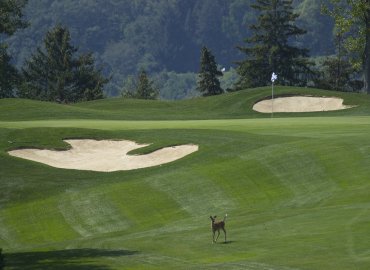 Dundas Valley Golf & Curling Club