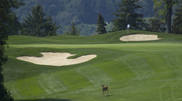 Dundas Valley Golf & Curling Club