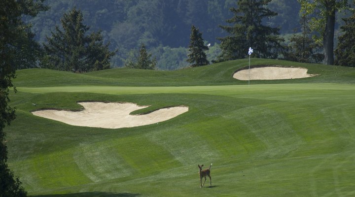 Dundas Valley Golf & Curling Club - Long