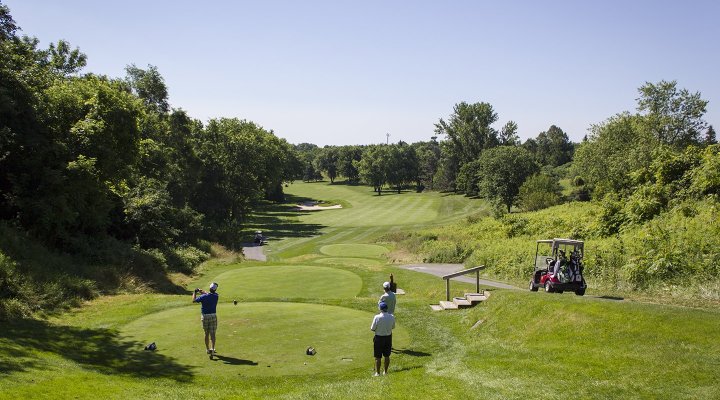 Whitevale Golf Club